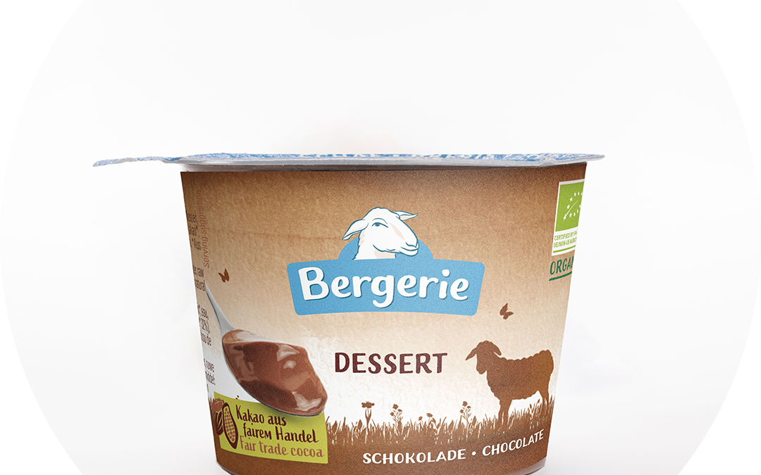 Chocolate dessert